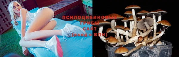 альфа пвп Баксан