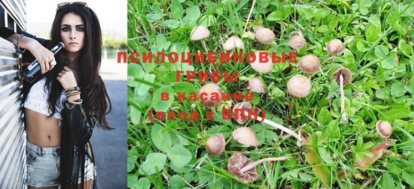 альфа пвп Баксан