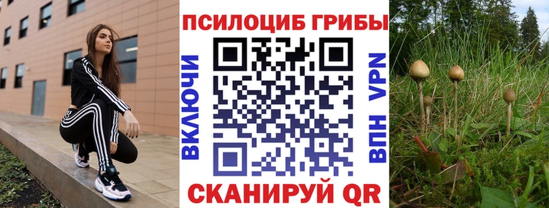 цены   Среднеколымск  Галлюциногенные грибы Magic Shrooms 